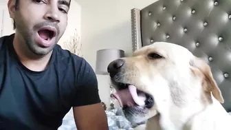 My Dog Yawns Every Time I Yawn | Part 4 | Funny Dog Video