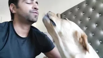 My Dog Yawns Every Time I Yawn | Part 4 | Funny Dog Video