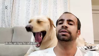 My Dog Yawns Every Time I Yawn | Part 4 | Funny Dog Video