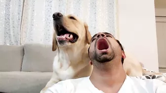 My Dog Yawns Every Time I Yawn | Part 4 | Funny Dog Video