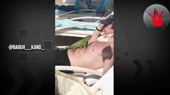 Best of WorldStar Instagram Compilation - Episode 49