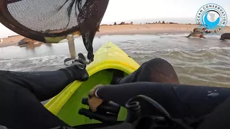 Seal Rescued From Beach Rubbish