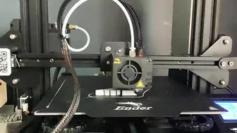 3D printer time laps/ flexible Dino