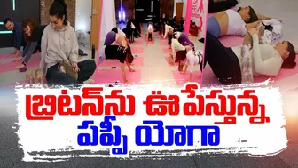 Yoga With Pets | Pet Lovers in Britain | పెంపుడు శునకాలతోనే యోగా చేస్తున్న బ్రిటన్‌వాసులు