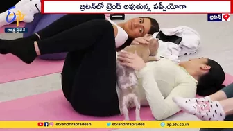 Yoga With Pets | Pet Lovers in Britain | పెంపుడు శునకాలతోనే యోగా చేస్తున్న బ్రిటన్‌వాసులు