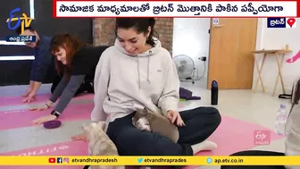 Yoga With Pets | Pet Lovers in Britain | పెంపుడు శునకాలతోనే యోగా చేస్తున్న బ్రిటన్‌వాసులు