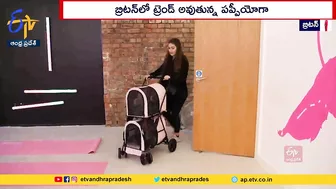 Yoga With Pets | Pet Lovers in Britain | పెంపుడు శునకాలతోనే యోగా చేస్తున్న బ్రిటన్‌వాసులు