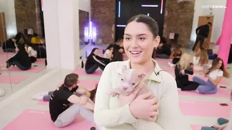 Time to paws: Puppy yoga craze sweeps UK