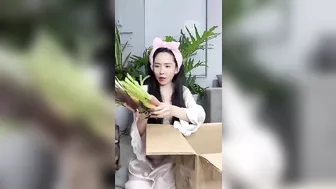 Viên Vibi lại có quà