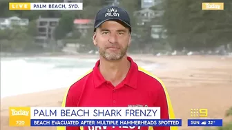 Sydney beach closed after 15 sharks spotted in flag area | 9 News Australia