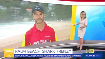 Sydney beach closed after 15 sharks spotted in flag area | 9 News Australia