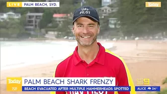 Sydney beach closed after 15 sharks spotted in flag area | 9 News Australia