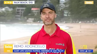 Sydney beach closed after 15 sharks spotted in flag area | 9 News Australia