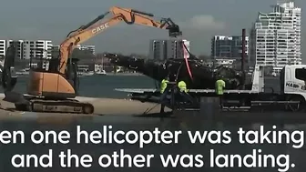 Australia beach helicopters crash: Two UK citizens among four dead after helicopters collide