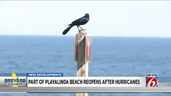 Part of Playalinda Beach at Canaveral National Seashore reopens after hurricane restoration