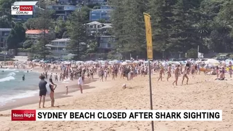 Palm Beach closed after hammerhead shark sightings