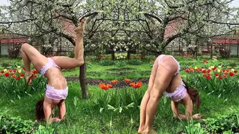 Headstand Eagle Legs | Pincha Yoga Stretching