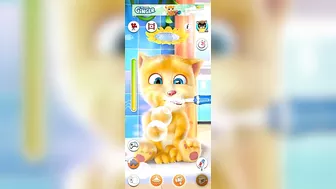 My Billi Wala Mega Pack Talking Tom Funny Compilation Super My Talking Ginger Crazy Cartoons