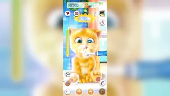 My Billi Wala Mega Pack Talking Tom Funny Compilation Super My Talking Ginger Crazy Cartoons