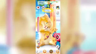 My Billi Wala Mega Pack Talking Tom Funny Compilation Super My Talking Ginger Crazy Cartoons