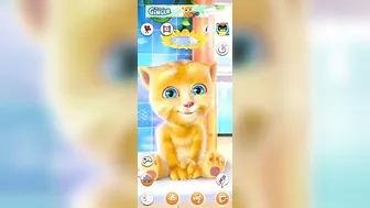 My Billi Wala Mega Pack Talking Tom Funny Compilation Super My Talking Ginger Crazy Cartoons