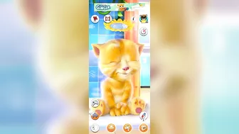 My Billi Wala Mega Pack Talking Tom Funny Compilation Super My Talking Ginger Crazy Cartoons