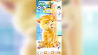 My Billi Wala Mega Pack Talking Tom Funny Compilation Super My Talking Ginger Crazy Cartoons