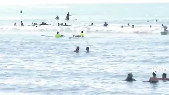 Marlin beaches itself in Waikiki: ‘Gnarly to see’