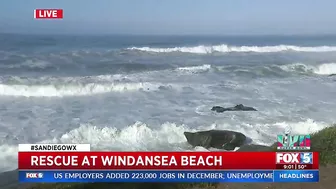 Lifeguards Rescue Surfers At Windansea Beach