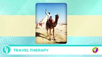 Travel Therapy with Dr Daniel Thomas | TVJ Smile Jamaica