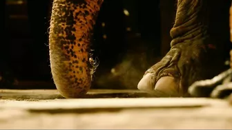 Waltair Veerayya Theatrical Trailer | Megastar Chiranjeevi | Ravi Teja | Shruti Haasan | Bobby | DSP