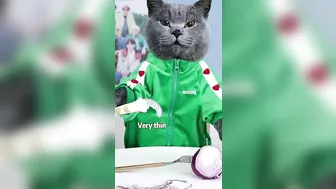 Funny Videos That Hope You Have A Nice Weekend????#oscarfunnyworld #funnycat #shorts