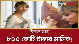 বিড়াল যখন ৮০০ কোটি টাকার মালিক! | Celebrity Cat | Desh TV