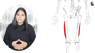 Front Thigh Pain | Relief exercises | Quadriceps muscle stretching