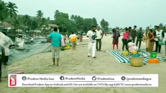 FISH CATCH AT BAGA BEACH | Prudent Media Goa