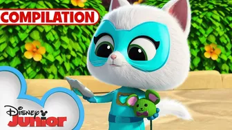 Bitsy's Vlogs | Compilation | SuperKitties | @disneyjunior