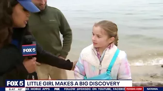 Maryland girl finds Megalodon tooth along Calvert County beach | FOX 5 DC