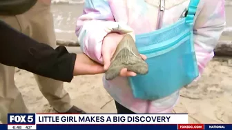 Maryland girl finds Megalodon tooth along Calvert County beach | FOX 5 DC