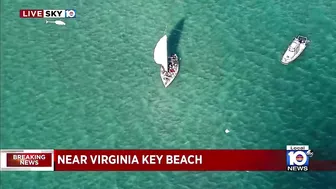 Authorities respond to large group of migrants found near Virginia Key Beach