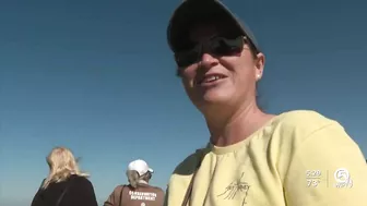 Rare right whale with calf brings crowds to Juno Beach