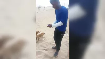 ⛱️???? Marina Beach ல Humanity But Went Wrong Watch Till End ???????? #shorts #vpwolfyt #tamil #trending