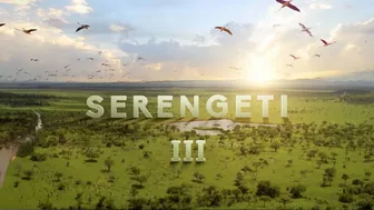 Serengeti III | Official Trailer | BBC Studios