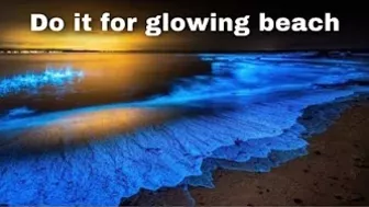 Do it for Glowing Beach | Bioluminescent plankton | Morning Motivation