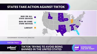 TikTok seeks to avoid all-out U.S. ban