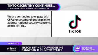 TikTok seeks to avoid all-out U.S. ban