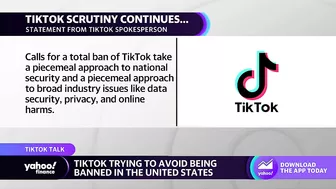 TikTok seeks to avoid all-out U.S. ban