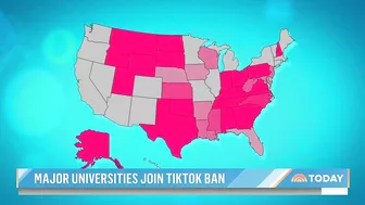 Major universities join TikTok ban as security concerns grow