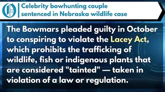 Celebrity bowhunting couple sentenced in Nebraska wildlife case