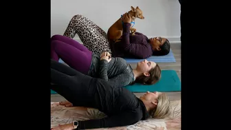 Yoga with pooches takes downward dog to a whole new level