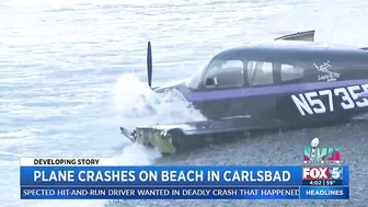 Plane Crashes On Beach In Carlsbad